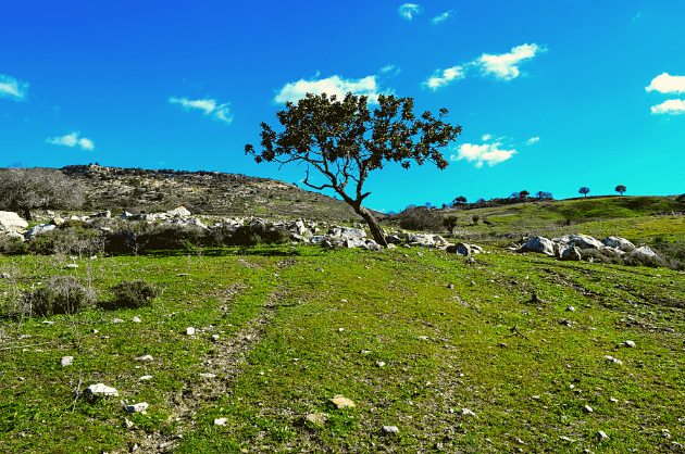 Akamas-félsziget, Paphos Ciprus
