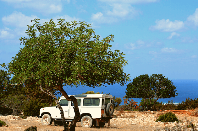 Jeep safari az Akamas félszigeten