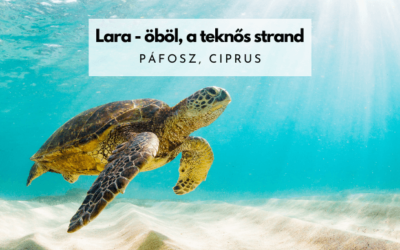 Lara – öböl, a teknős strand