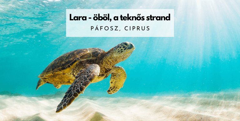 Lara - öböl Ciprus Páfosz Paphos