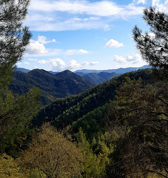 Troodos - hegység