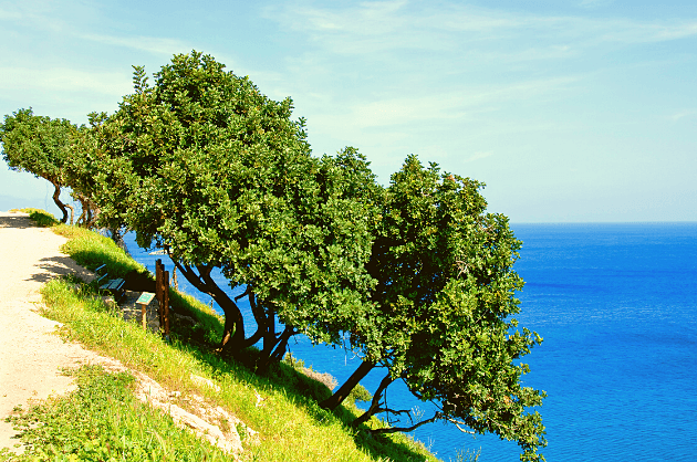 Akamas - félsziget Paphos Ciprus