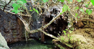 ciprus-latnivalok-aphrodite-furdoje