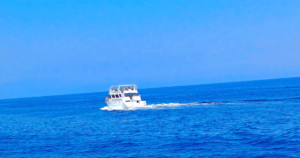 ciprus-paphos-kek-laguna-hajokirandulas