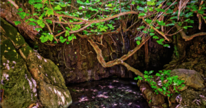 ciprusi-kirandulasok