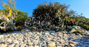 aphrodite-sziklaja-kirandulas-limassolba