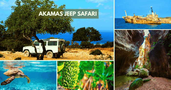 Ciprusi kirándulások, magyarul, Akamas jeep safari