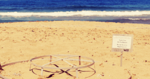 Ciprusi kirándulások, magyarul, Akamas jeep safari, Lara öböl