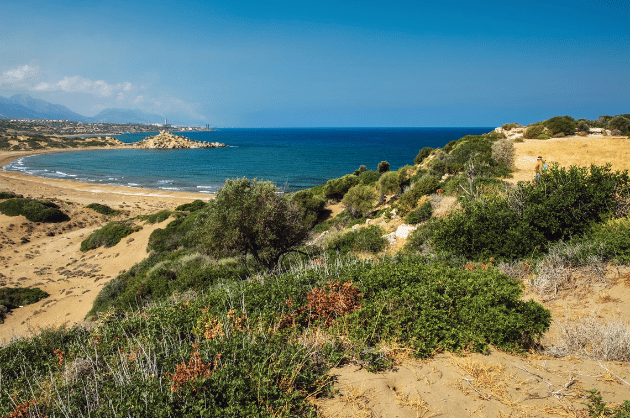 Alagadi Beach, Észak-Ciprus, Ciprus teknősvédelem