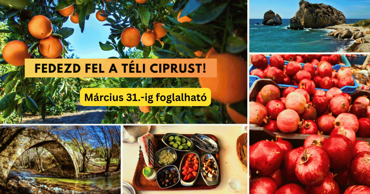 Téli jeep safari Cipruson ültetvények, erdők és tengerpart