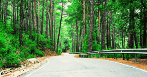 Hegyi út Cipruson, a Troodos-hegységben. Kirándulás a téli Cipruson.