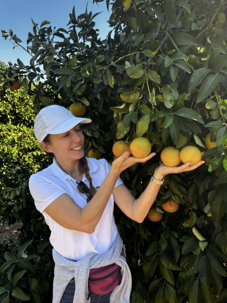 Látogatás egy déligyümölcs ültetvényen - magyar nyelvű jeep safari Cipruson