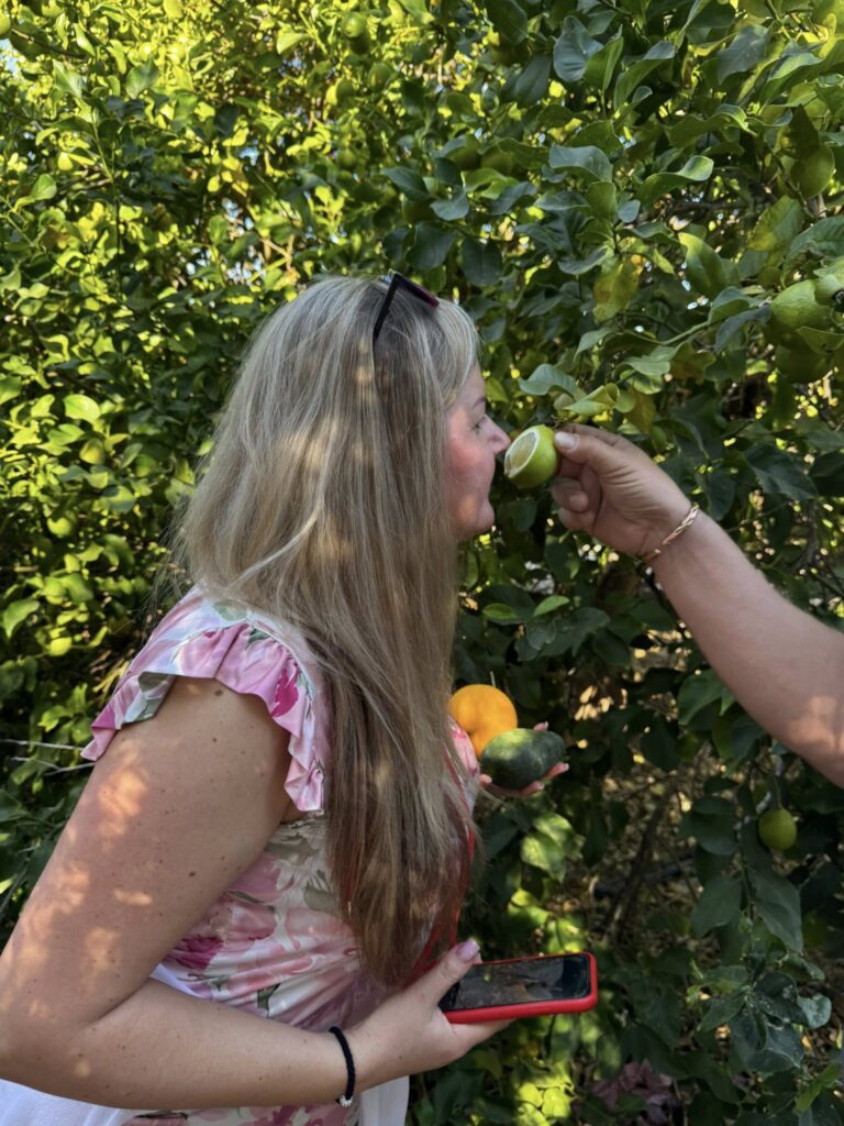 Látogatás egy déligyümölcs ültetvényen - magyar nyelvű jeep safari Cipruson