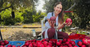 Gyümölcskóstoló egy ciprusi ültetvényen a hegyvidéki kirándulás során Páfoszról