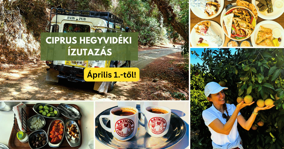 Ciprus hegyvidéki ízutazás – magyar nyelvű kirándulás Páfoszról