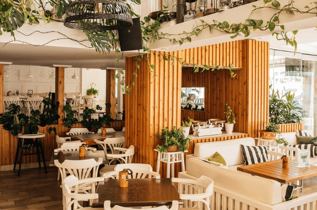 Pingouino Cafe Páfosz – világos, hangulatos belső tér növényekkel és otthonos kialakítással