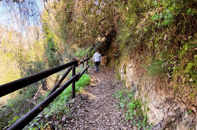 Erdei ösvény korláttal a Kritou Terra nature trail túraútvonalon Cipruson