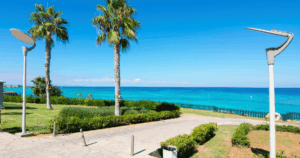 Pálmafák és türkizkék tenger a Fig Tree Bay partján Protaras városában